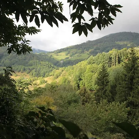 La Haute Grange De Charme En Alsace