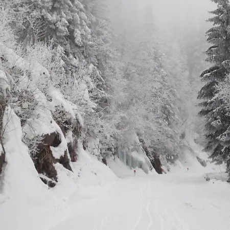 La Haute Grange De Charme En Alsace *