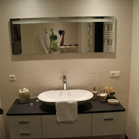 La Haute Grange De Charme En Alsace 別荘 *